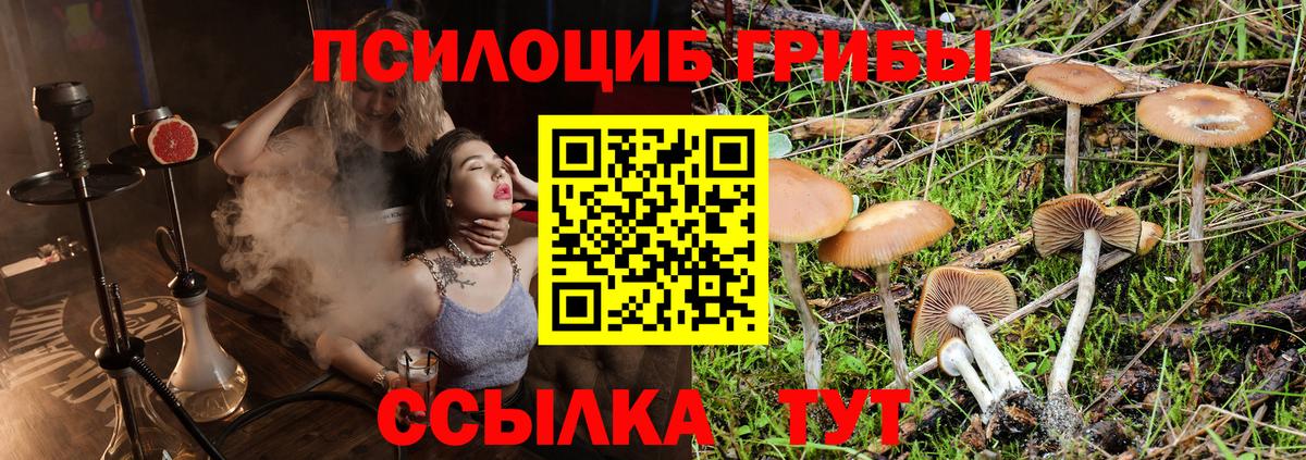 Кунгур  Галлюциногенные грибы MAGIC MUSHROOMS  Вход с VPN 